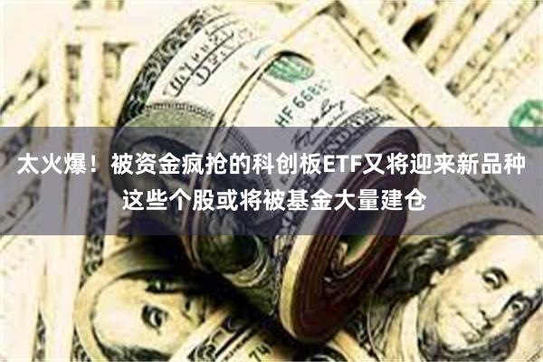 太火爆！被资金疯抢的科创板ETF又将迎来新品种 这些个股或将被基金大量建仓