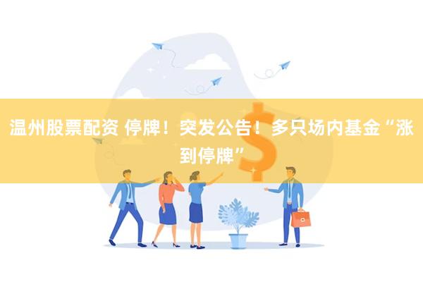 温州股票配资 停牌！突发公告！多只场内基金“涨到停牌”