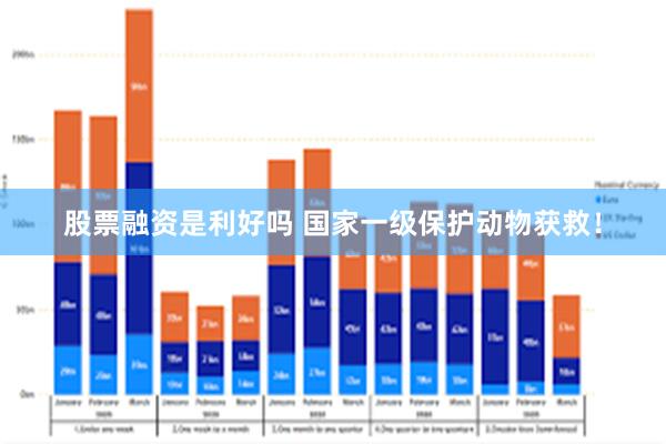 股票融资是利好吗 国家一级保护动物获救！