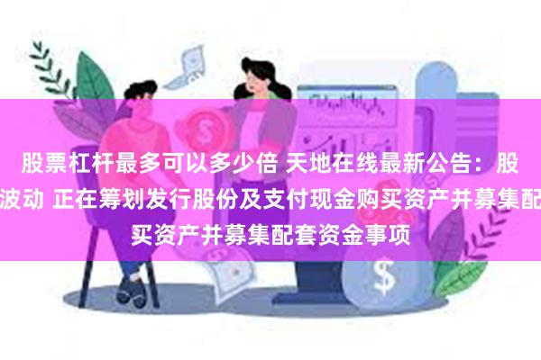 股票杠杆最多可以多少倍 天地在线最新公告：股票交易异常波动 正在筹划发行股份及支付现金购买资产并募集配套资金事项