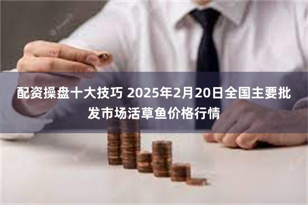 配资操盘十大技巧 2025年2月20日全国主要批发市场活草鱼价格行情