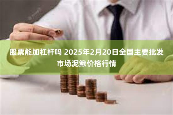 股票能加杠杆吗 2025年2月20日全国主要批发市场泥鳅价格行情